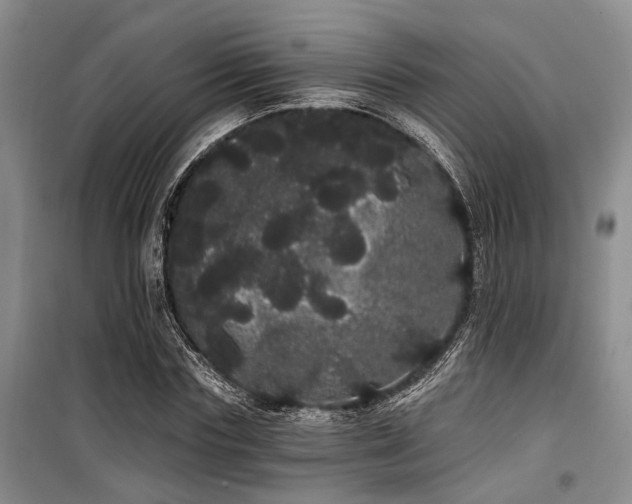 X0000100200827200805301308