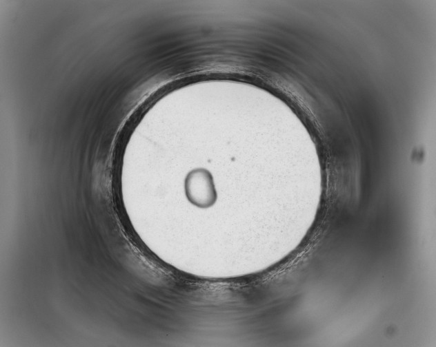 X0000100200828200805301308