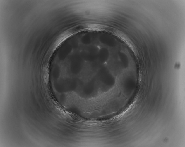 X0000100200829200805301308