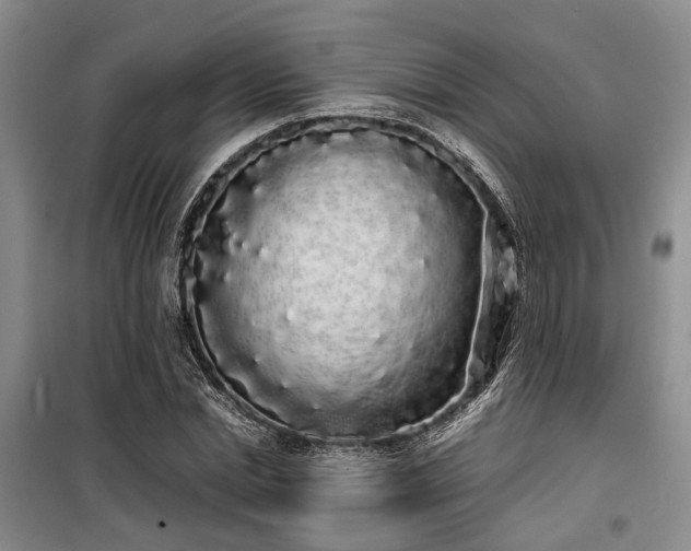 X0000100200830200805301308