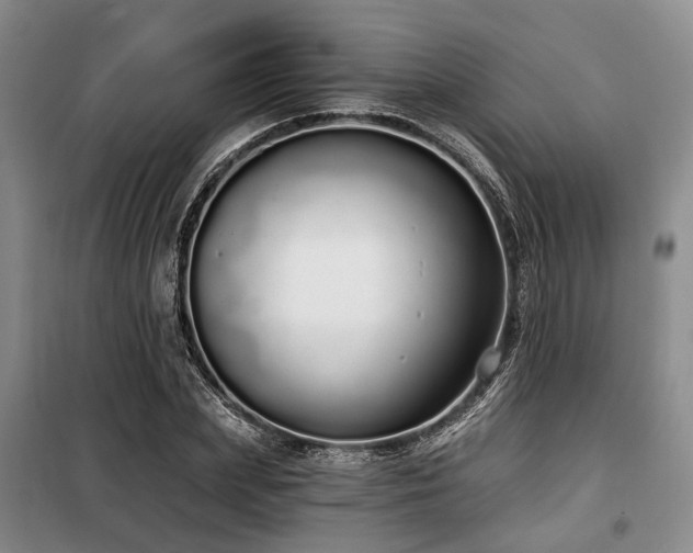 X0000100200831200805301308