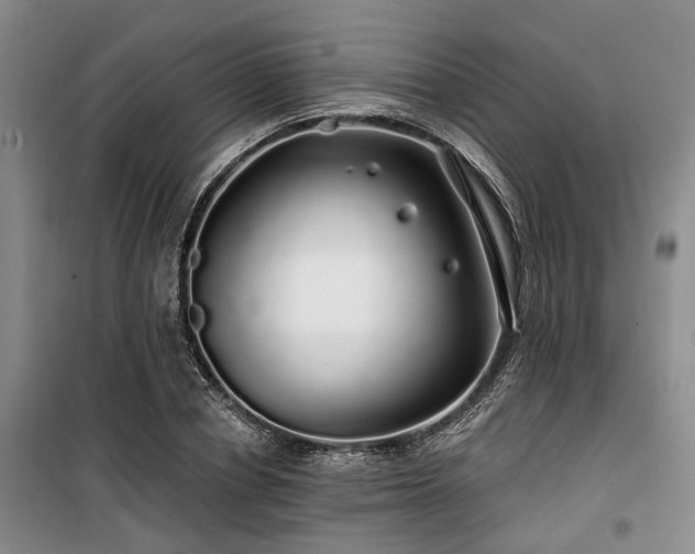 X0000100200834200805301308