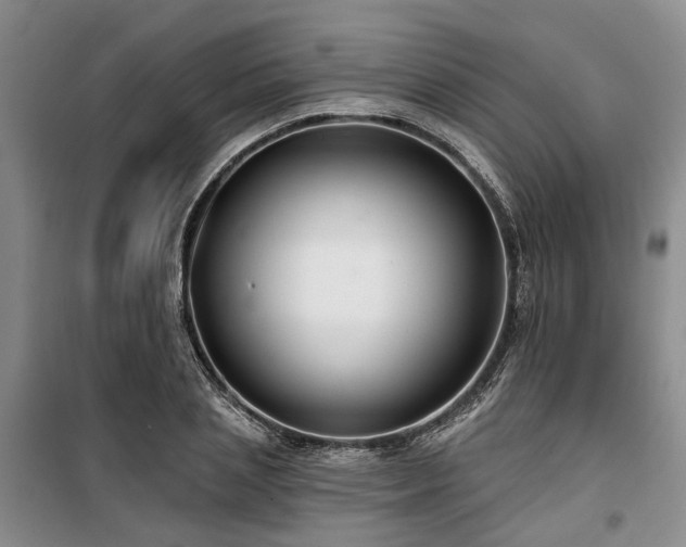 X0000100200837200805301308