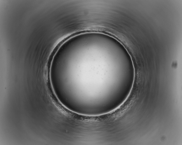 X0000100200838200805301308