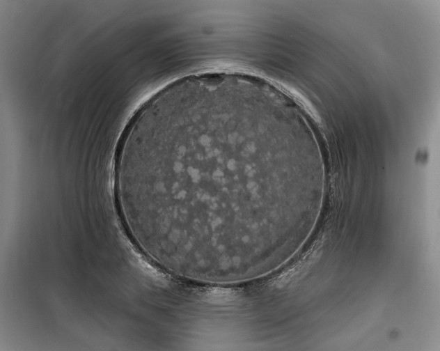 X0000100200839200805301308