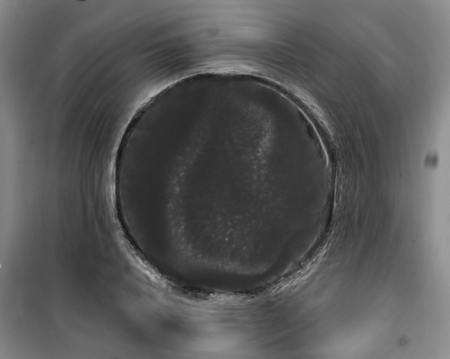 X0000100200840200805301308