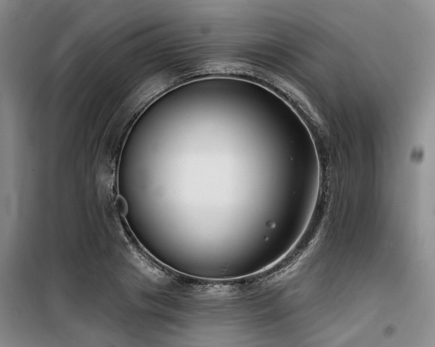 X0000100200841200805301308