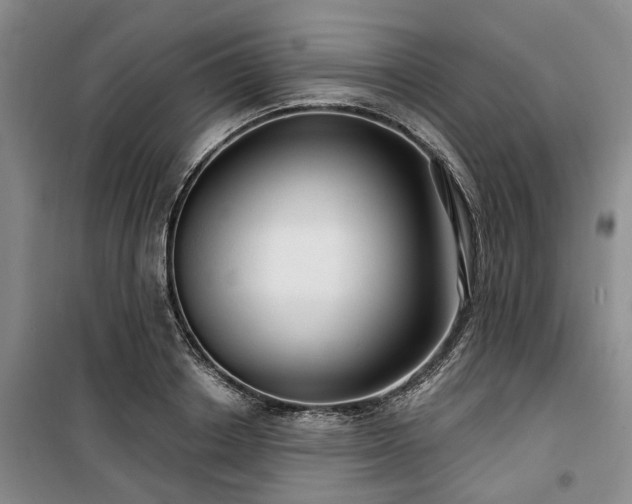 X0000100200842200805301308