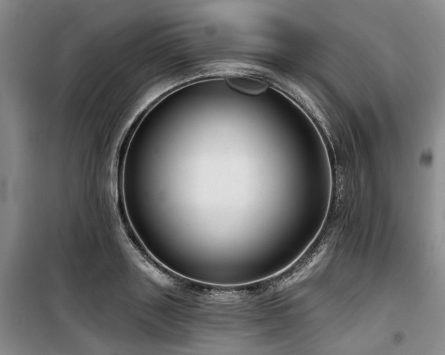 X0000100200843200805301308