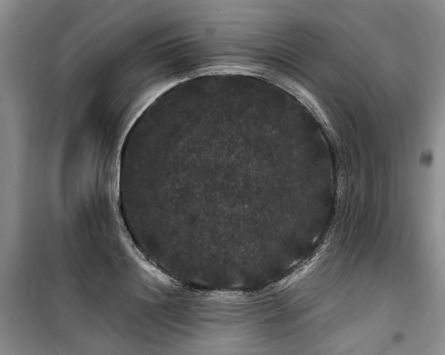 X0000100200844200805301308