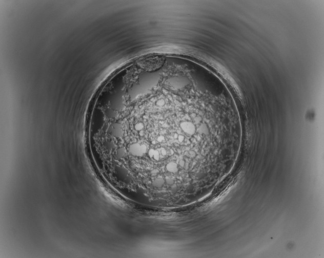 X0000100200845200805301308