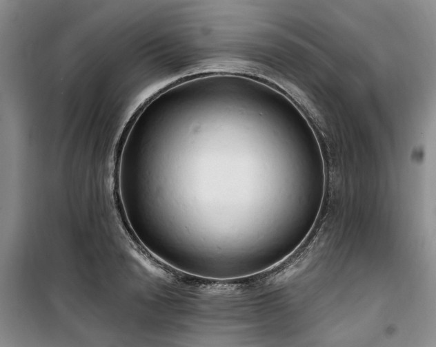 X0000100200846200805301308