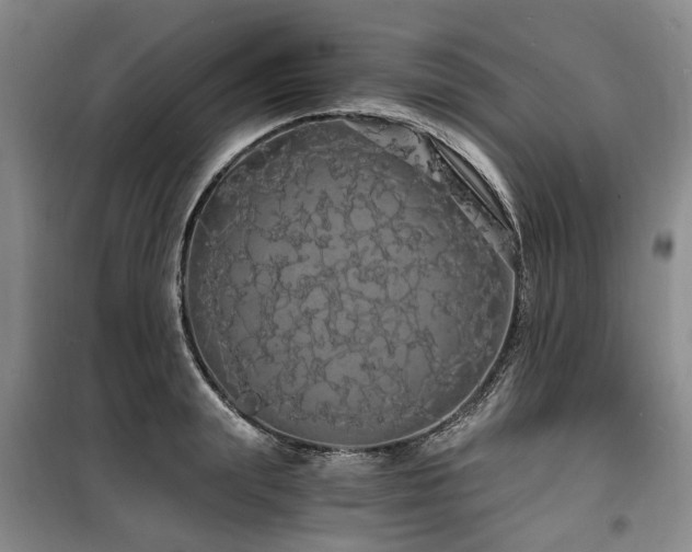 X0000100200847200805301308