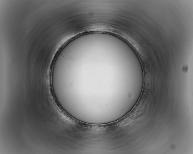 X0000100200848200805301308