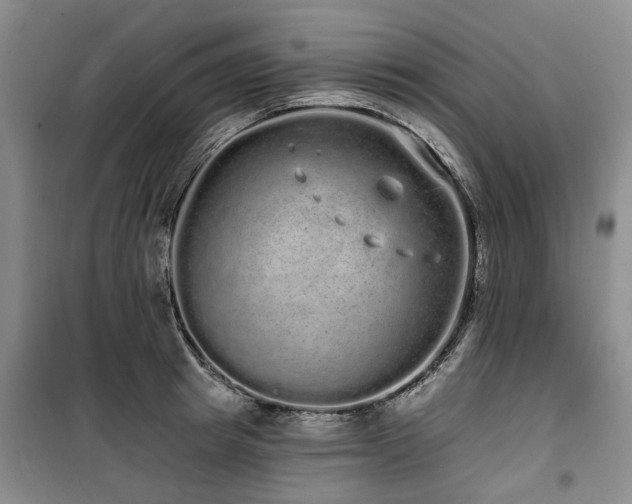 X0000100200849200805301308