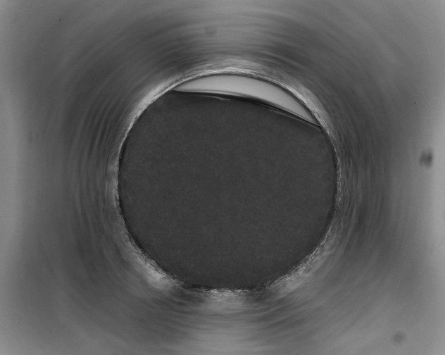 X0000100200850200805301308