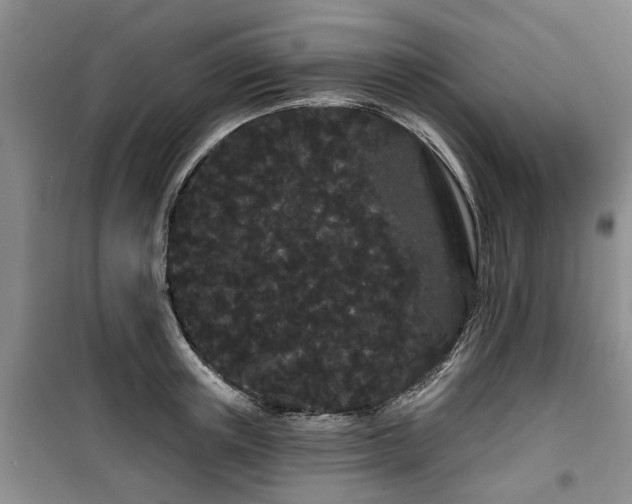 X0000100200851200805301308