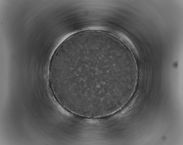 X0000100200852200805301308