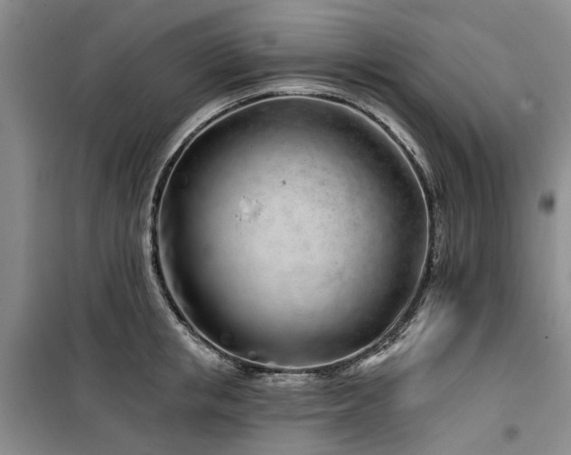 X0000100200853200805301308