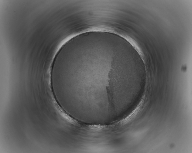 X0000100200854200805301308