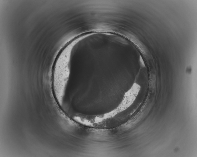 X0000100200856200805301308