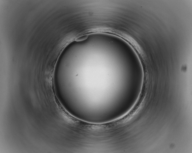 X0000100200857200805301308