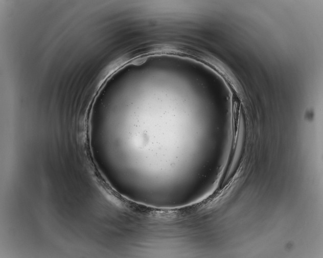 X0000100200858200805301308