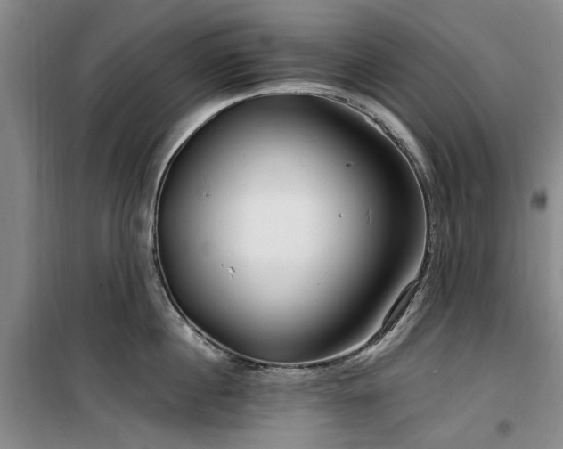 X0000100200860200805301308