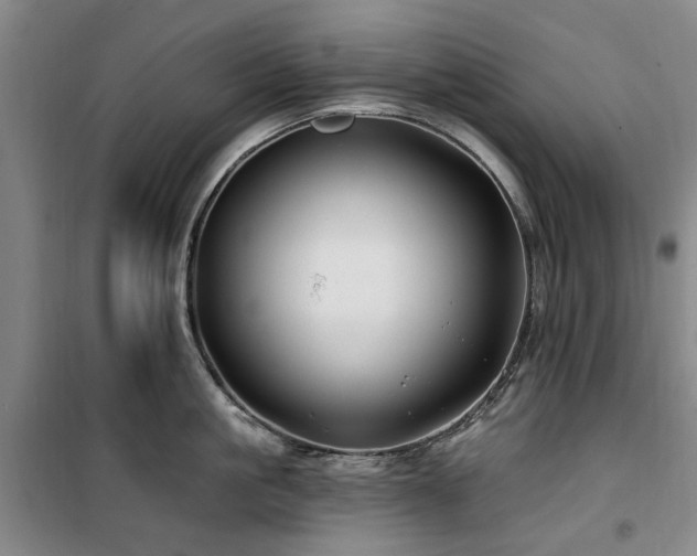 X0000100200861200805301308