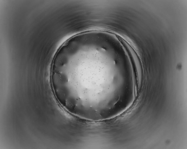 X0000100200862200805301308