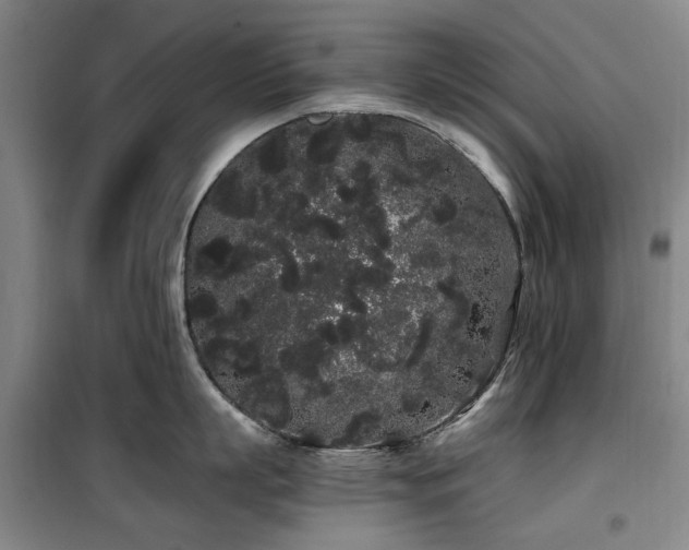 X0000100200863200805301308