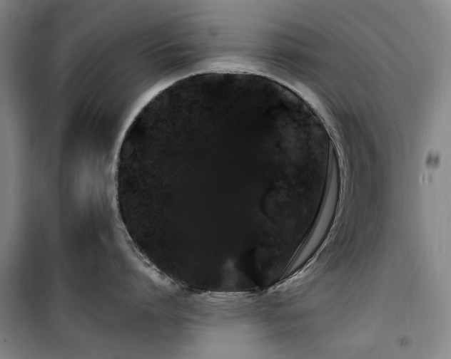 X0000100200864200805301308