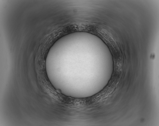 X0000100200865200805301308