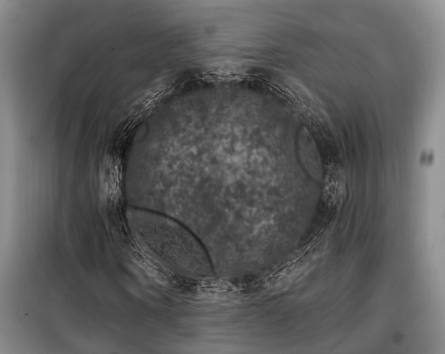 X0000100200866200805301308