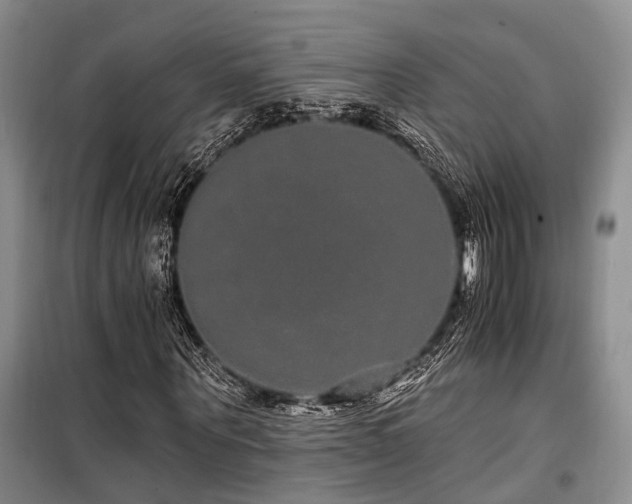 X0000100200867200805301308