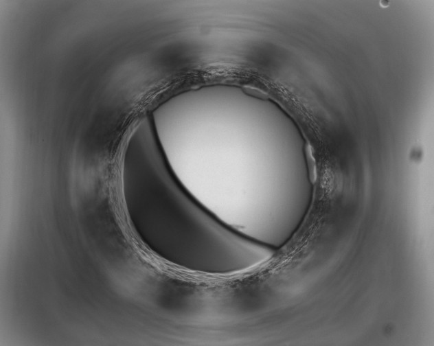 X0000100200868200805301308