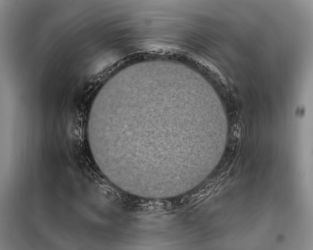 X0000100200869200805301308