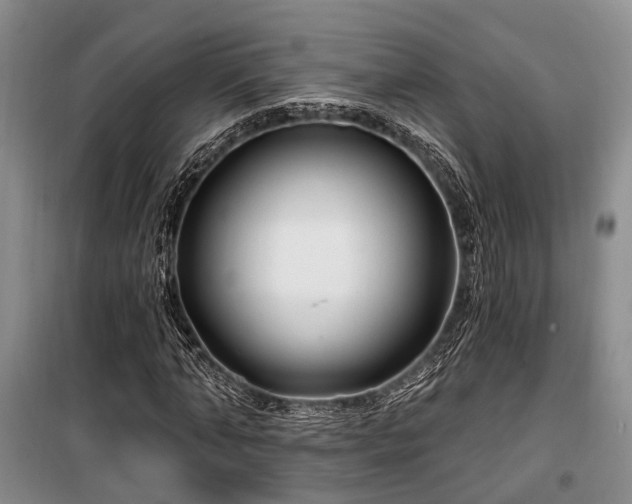 X0000100200870200805301308