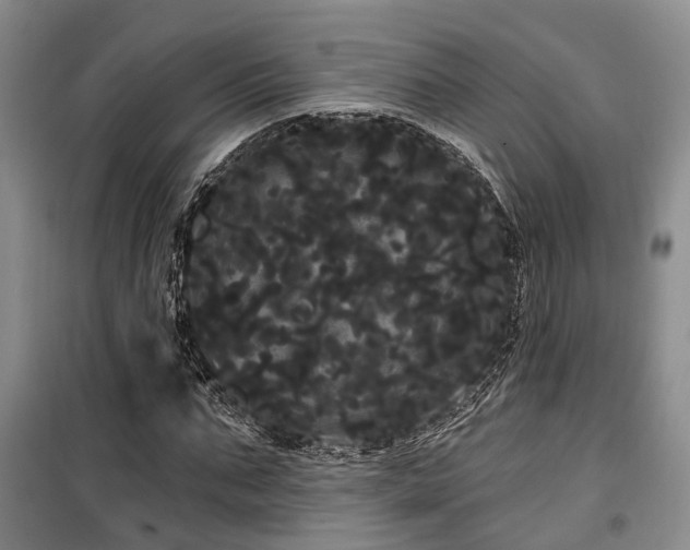 X0000100200871200805301307