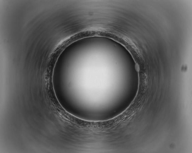 X0000100200872200805301307