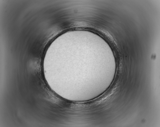 X0000100200873200805301307