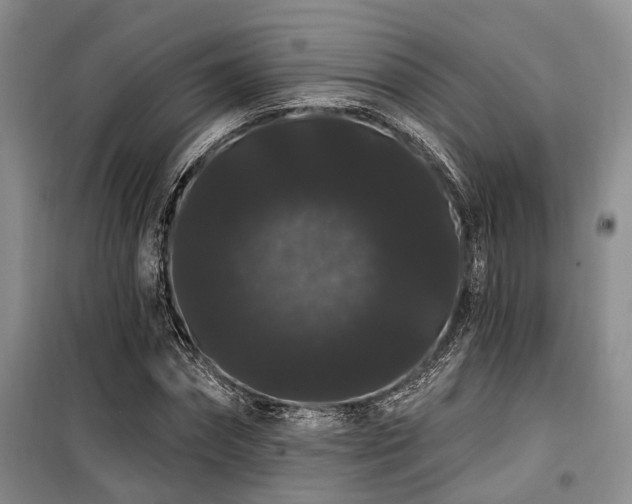 X0000100200874200805301307