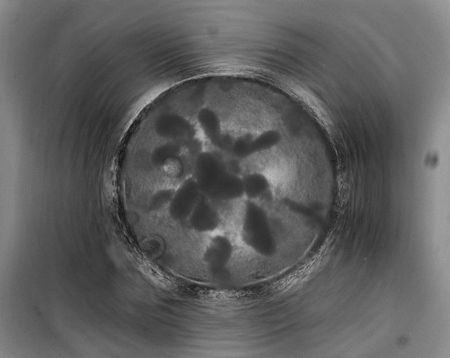 X0000100200875200805301307