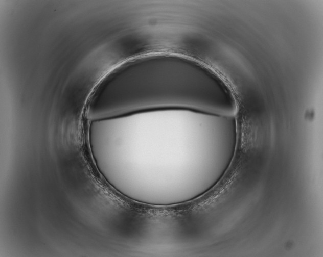 X0000100200876200805301307