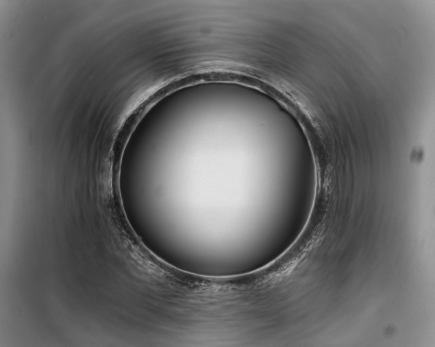 X0000100200877200805301307