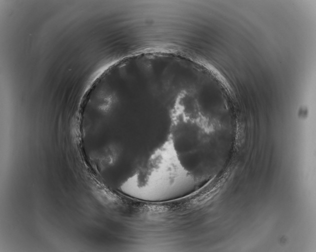 X0000100200878200805301307