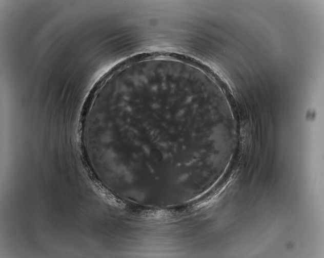 X0000100200879200805301307