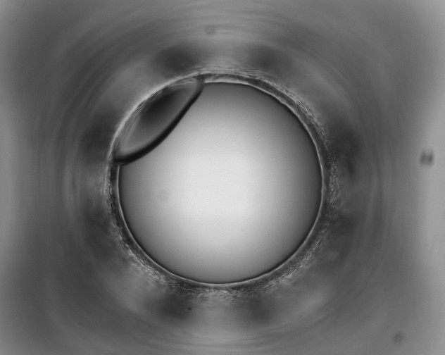 X0000100200880200805301307