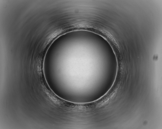 X0000100200881200805301307