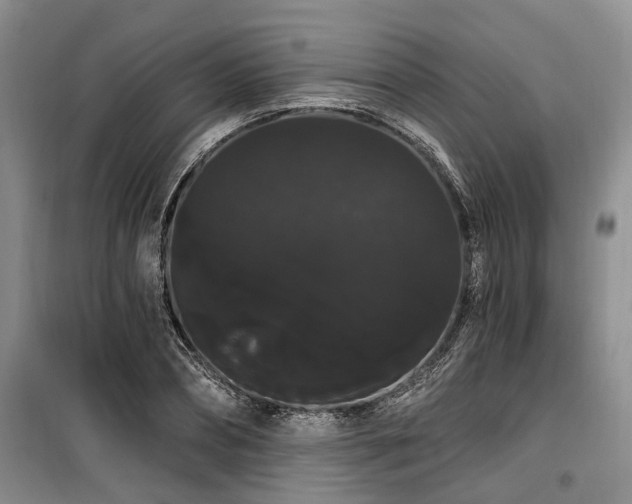 X0000100200882200805301307